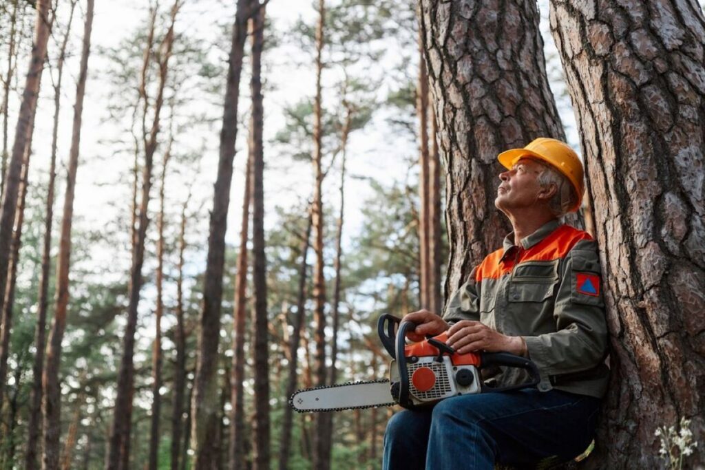 arborist sydney inner west